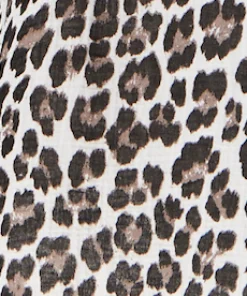 Leopard Print V-Neck Maxi Dress