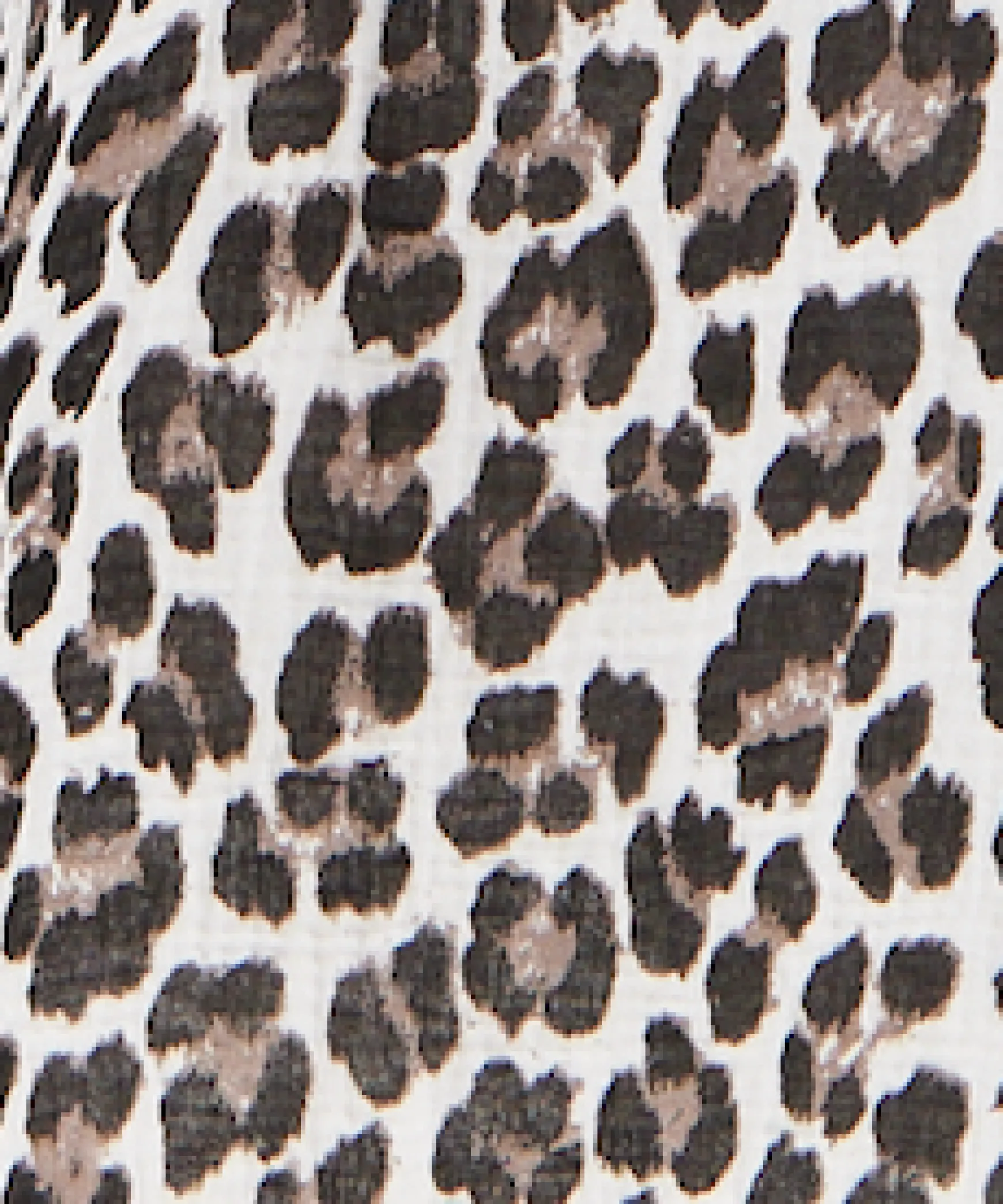 Leopard Print V-Neck Maxi Dress