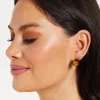 Tigers Eye Spheres Earrings