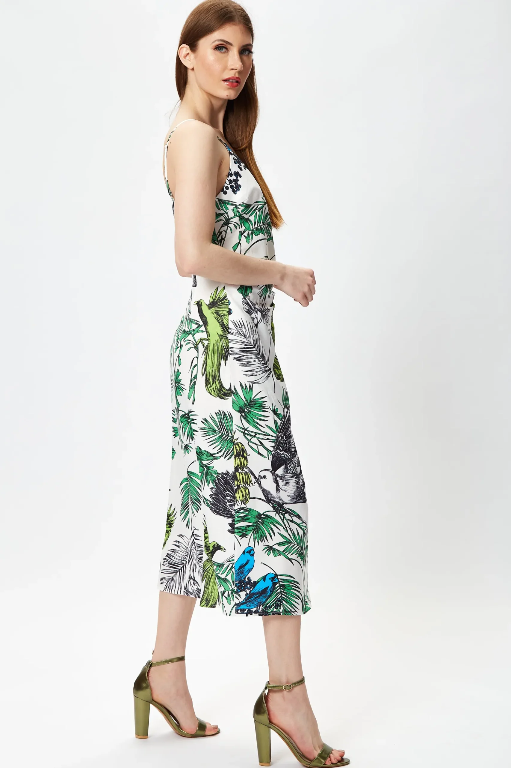 Women's Midi Dress in Floral and Bird Print with V Neck and Tie Waist, Regular Fit, Short Sleeves - Liquorish