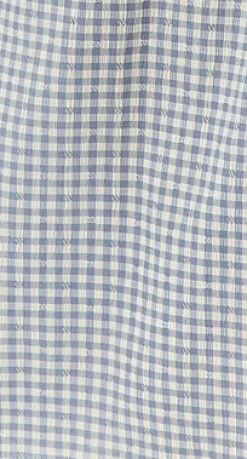 Women's Midi Dress with Frill Sleeves in Blue and Cream Gingham - Cut Out Back and Tie Detail by Liquorish