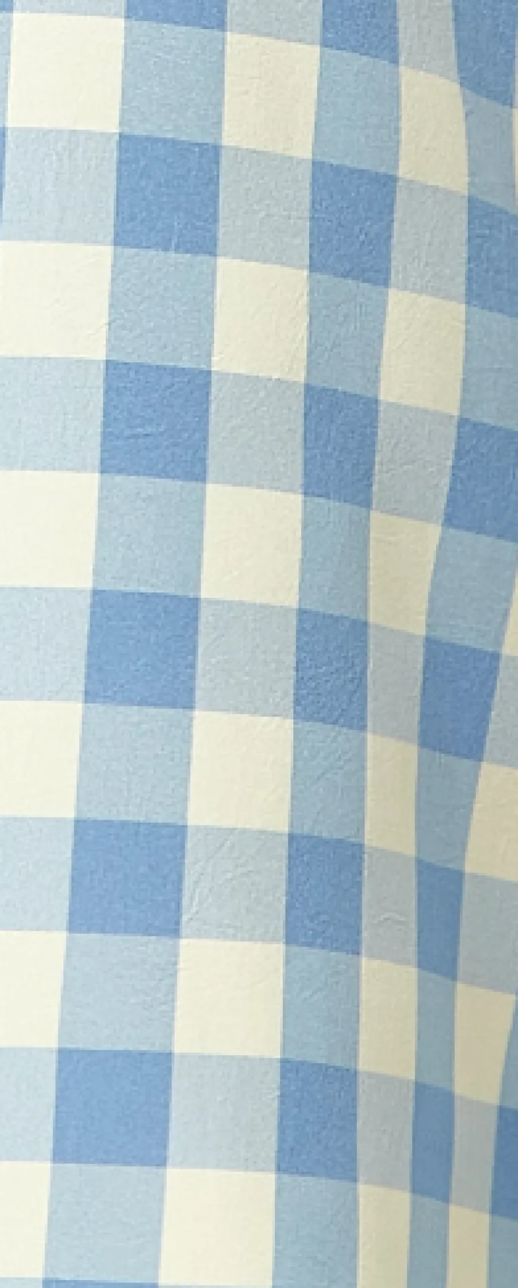 Women's Mini Dress, Blue Gingham Puff Sleeve, Button-Up Front, Oversized Fit, 3/4 Sleeve Length