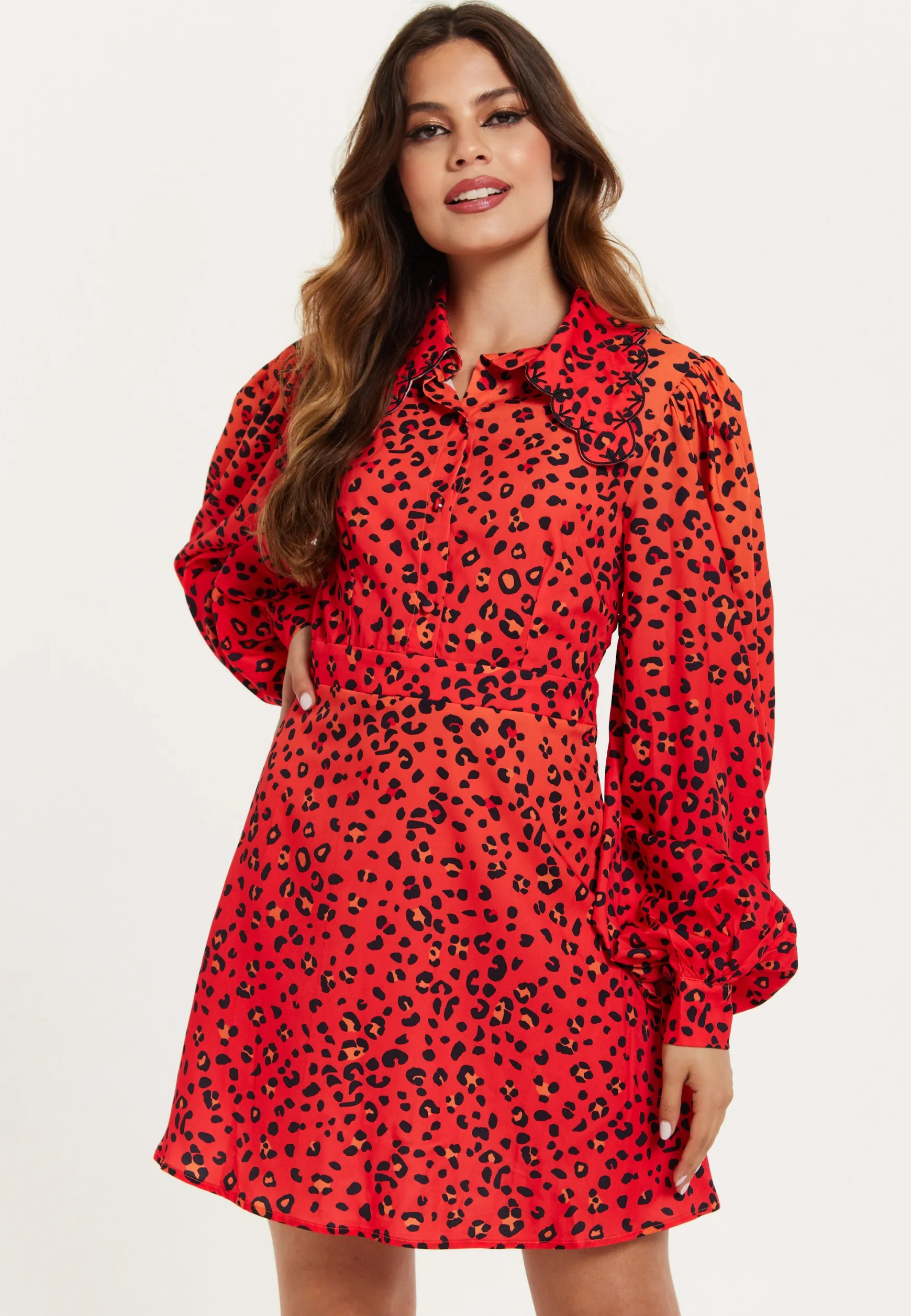 Women's Mini Dress, Scalloped Collar, Leopard Print with Ombre Detail, Long Balloon Sleeves, Side Zip, Regular Fit