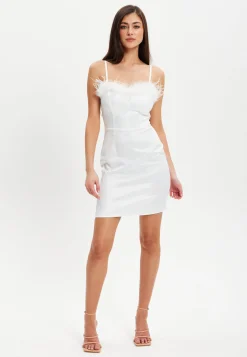 Women's Mini Dress with Fur Detail and Sweetheart Neckline