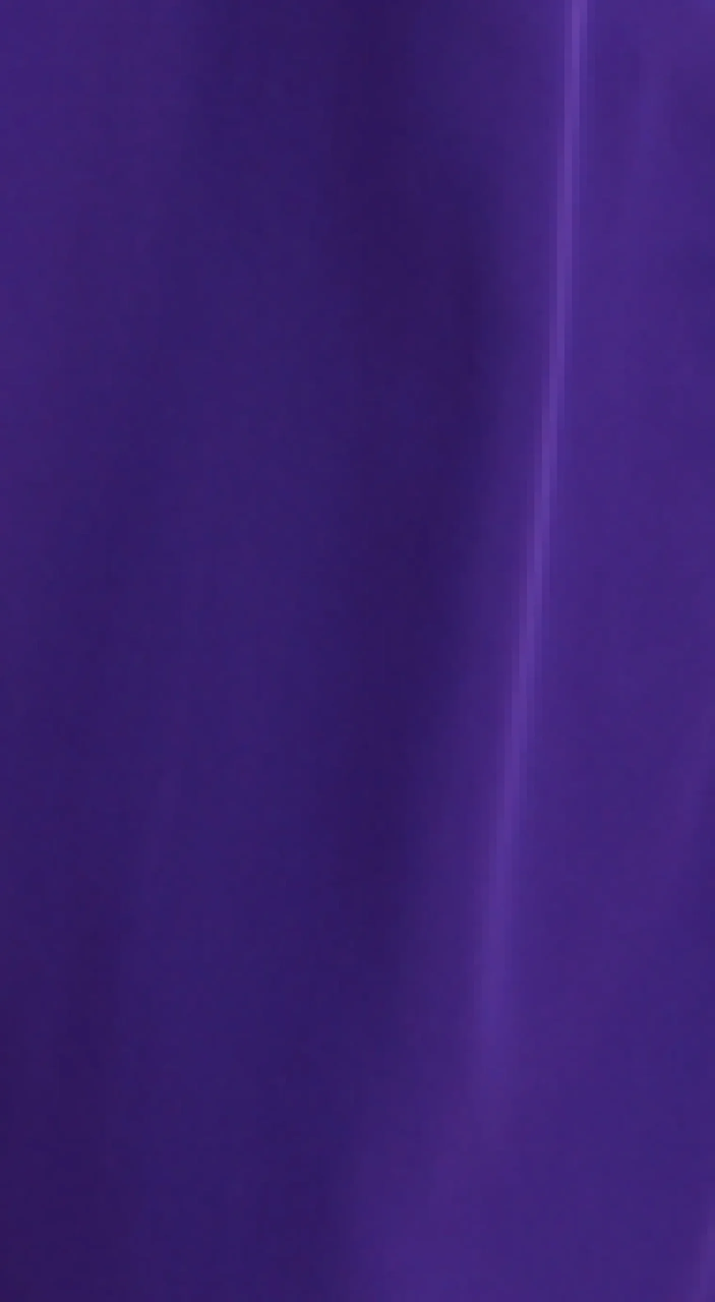 Women’s Purple Wide Leg Trousers with High Waist, Elasticated Waist & Front Pockets - Liquorish