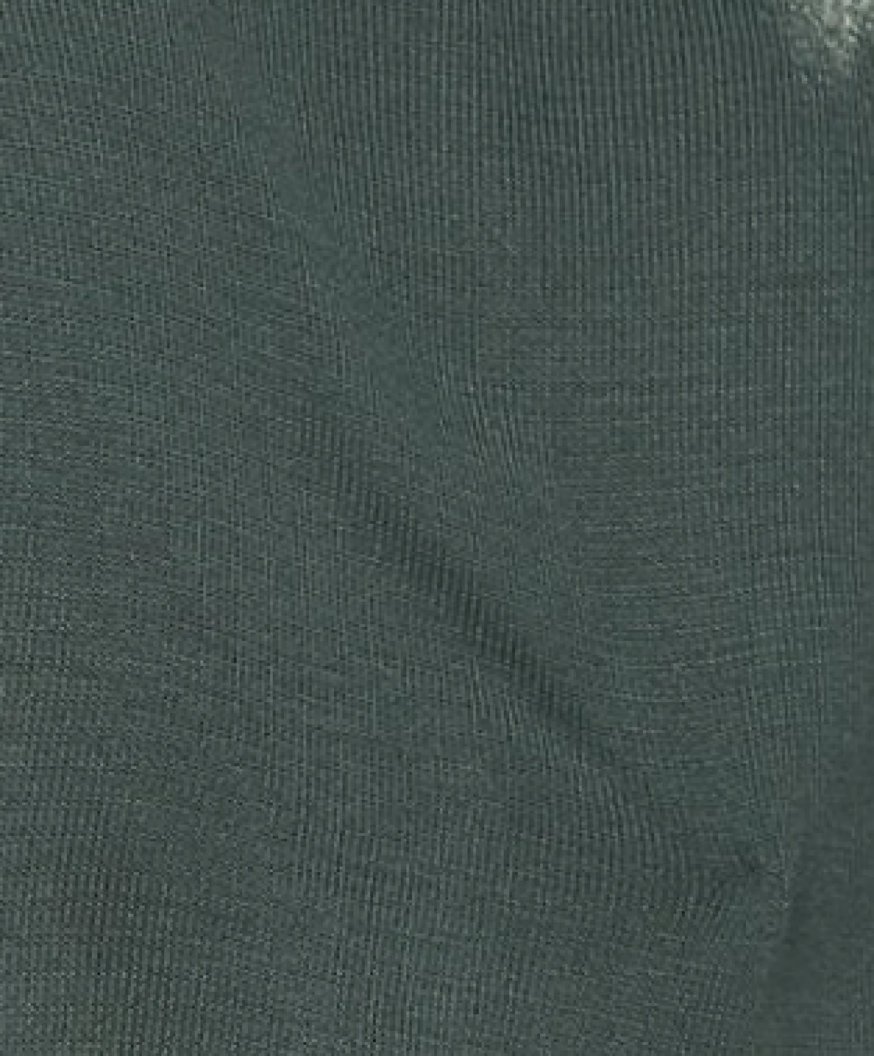 Women’s V-Neck Top with Ruching Detail in Green - Long Sleeves, Chic Design, Adjustable Fit, Versatile Style